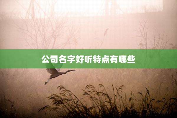 公司名字好听特点有哪些