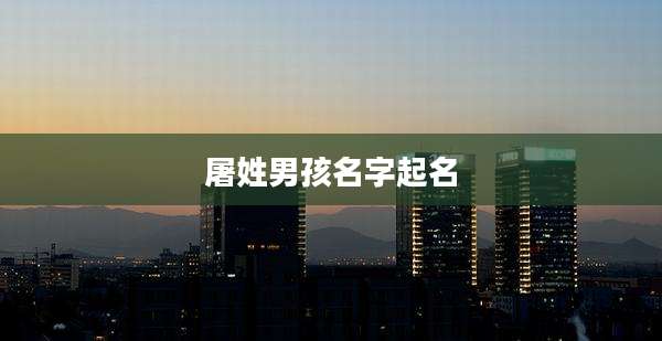屠姓男孩名字起名