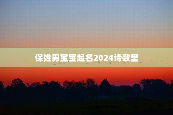 保姓男宝宝起名2024诗歌里
