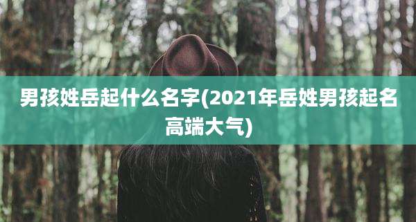 男孩姓岳起什么名字(2021年岳姓男孩起名高端大气)