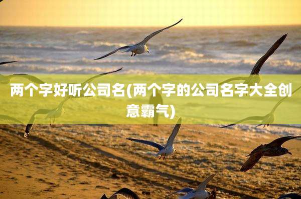 两个字好听公司名(两个字的公司名字大全创意霸气)