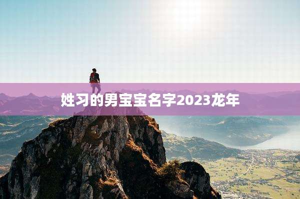 姓习的男宝宝名字2023龙年