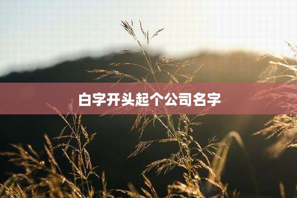 白字开头起个公司名字