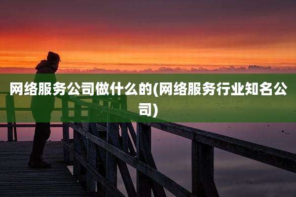 网络服务公司做什么的(网络服务行业知名公司)