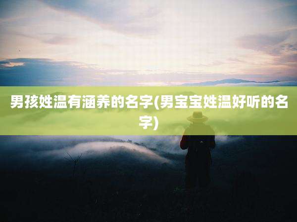 男孩姓温有涵养的名字(男宝宝姓温好听的名字)