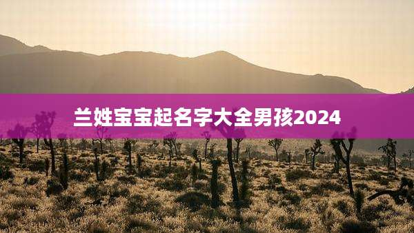 兰姓宝宝起名字大全男孩2024