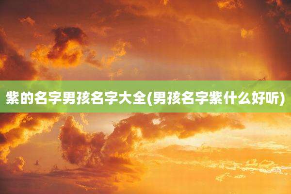紫的名字男孩名字大全(男孩名字紫什么好听)