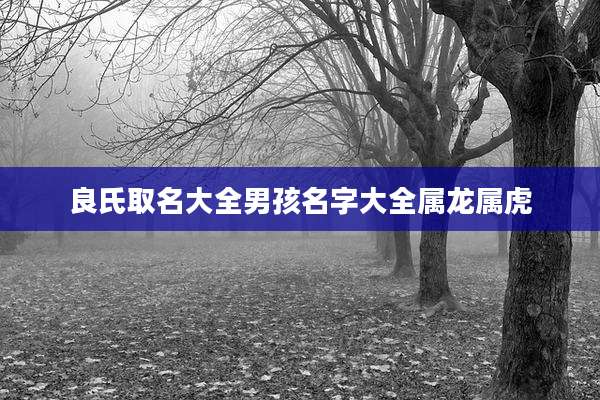 良氏取名大全男孩名字大全属龙属虎
