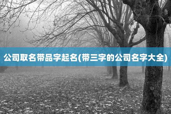 公司取名带品字起名(带三字的公司名字大全)