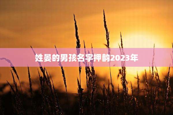 姓晏的男孩名字押韵2023年