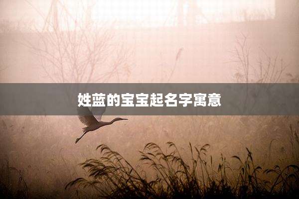 姓蓝的宝宝起名字寓意