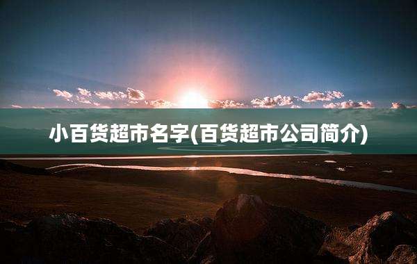 小百货超市名字(百货超市公司简介)