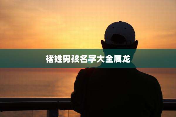 褚姓男孩名字大全属龙