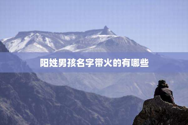 阳姓男孩名字带火的有哪些