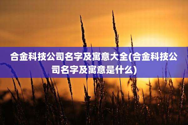 合金科技公司名字及寓意大全(合金科技公司名字及寓意是什么)