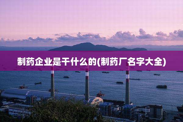 制药企业是干什么的(制药厂名字大全)