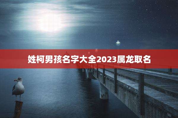 姓柯男孩名字大全2023属龙取名