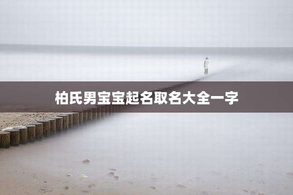 柏氏男宝宝起名取名大全一字