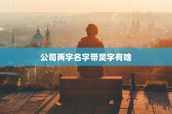 公司两字名字带昊字有啥