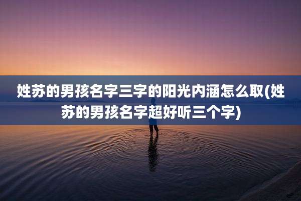 姓苏的男孩名字三字的阳光内涵怎么取(姓苏的男孩名字超好听三个字)