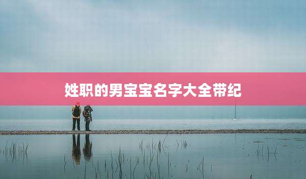姓职的男宝宝名字大全带纪
