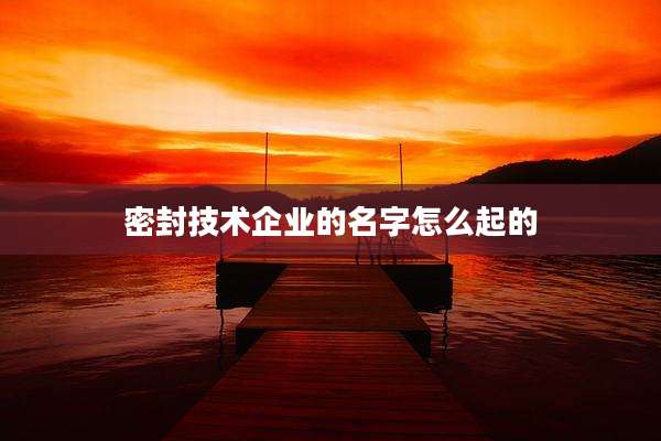 密封技术企业的名字怎么起的