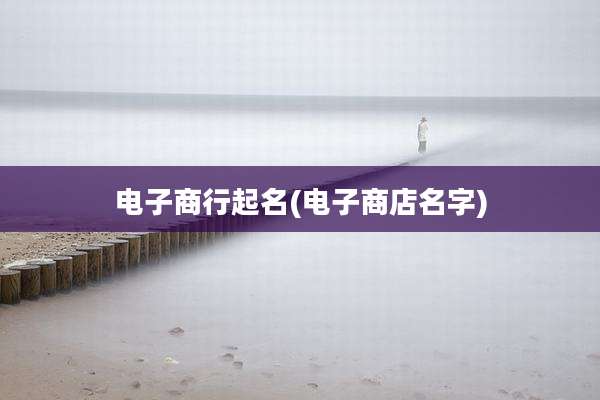 电子商行起名(电子商店名字)
