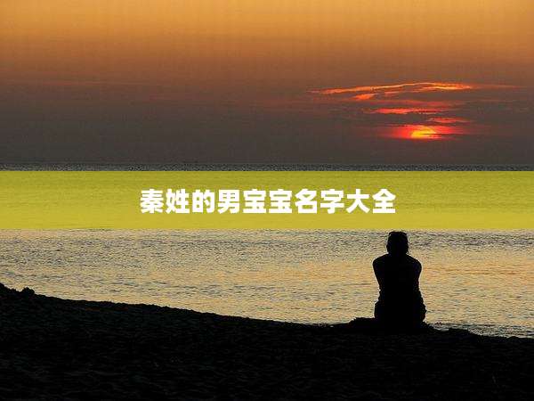 秦姓的男宝宝名字大全