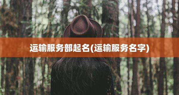 运输服务部起名(运输服务名字)