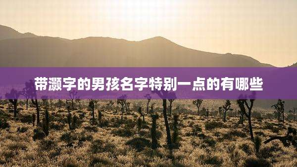 带灏字的男孩名字特别一点的有哪些