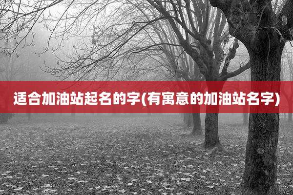 适合加油站起名的字(有寓意的加油站名字)
