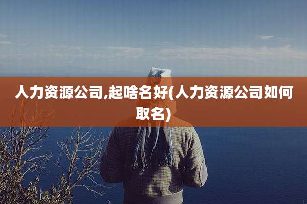 人力资源公司,起啥名好(人力资源公司如何取名)