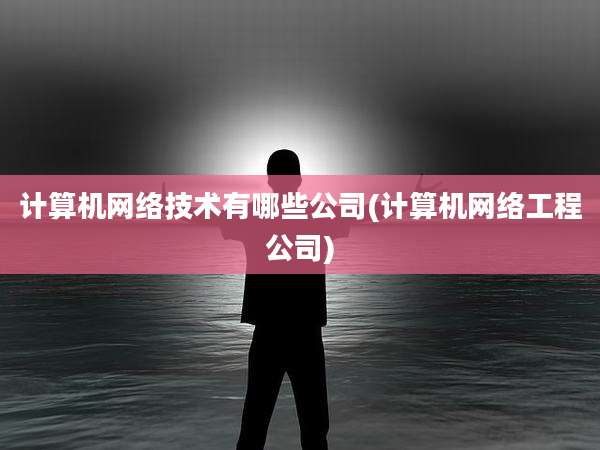 计算机网络技术有哪些公司(计算机网络工程公司)