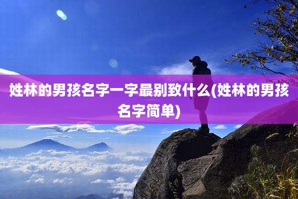 姓林的男孩名字一字最别致什么(姓林的男孩名字简单)