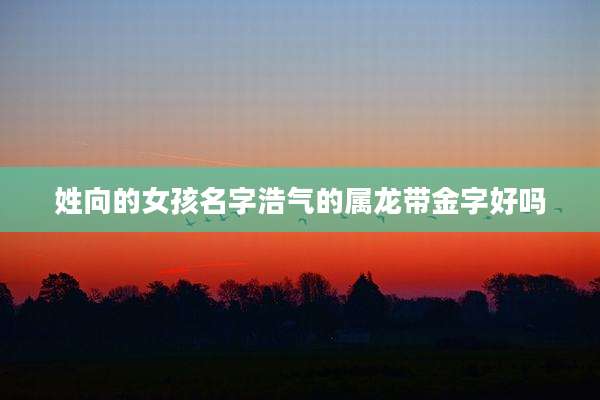 姓向的女孩名字浩气的属龙带金字好吗