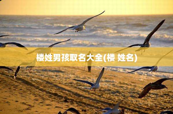 楼姓男孩取名大全(楼 姓名)