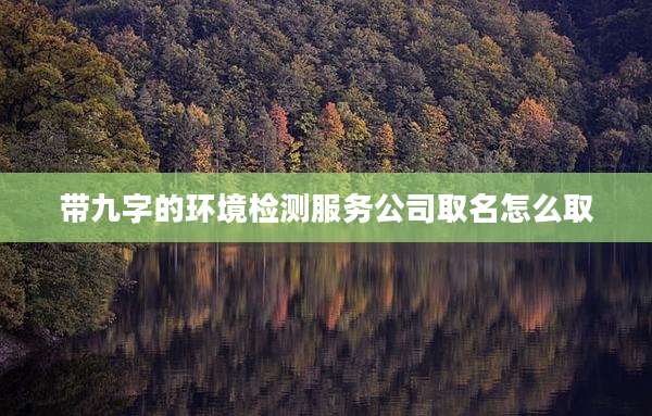 带九字的环境检测服务公司取名怎么取