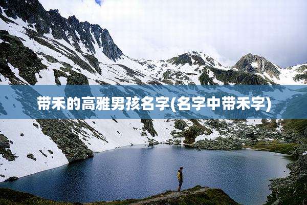 带禾的高雅男孩名字(名字中带禾字)