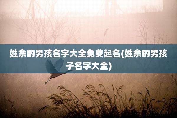 姓余的男孩名字大全免费起名(姓余的男孩子名字大全)