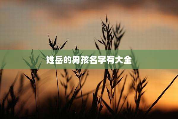 姓岳的男孩名字有大全