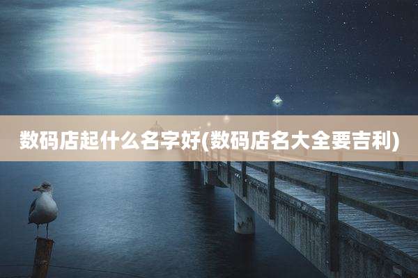 数码店起什么名字好(数码店名大全要吉利)