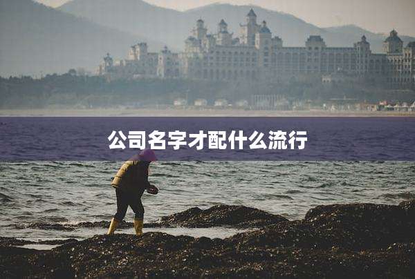 公司名字才配什么流行