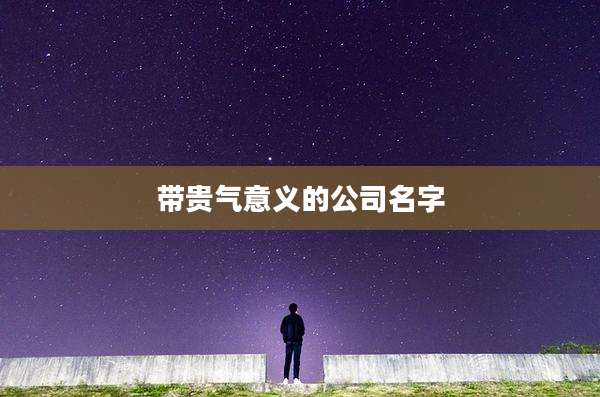 带贵气意义的公司名字