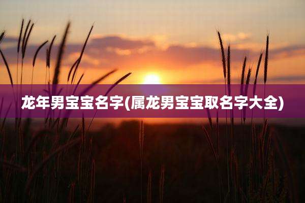 龙年男宝宝名字(属龙男宝宝取名字大全)