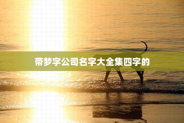 带梦字公司名字大全集四字的