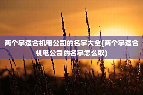 两个字适合机电公司的名字大全(两个字适合机电公司的名字怎么取)
