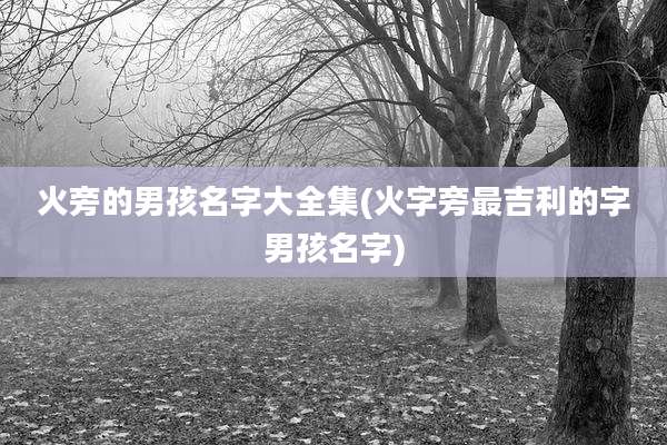 火旁的男孩名字大全集(火字旁最吉利的字男孩名字)