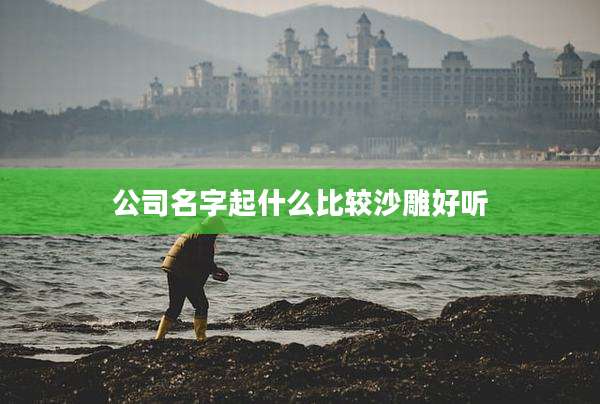公司名字起什么比较沙雕好听