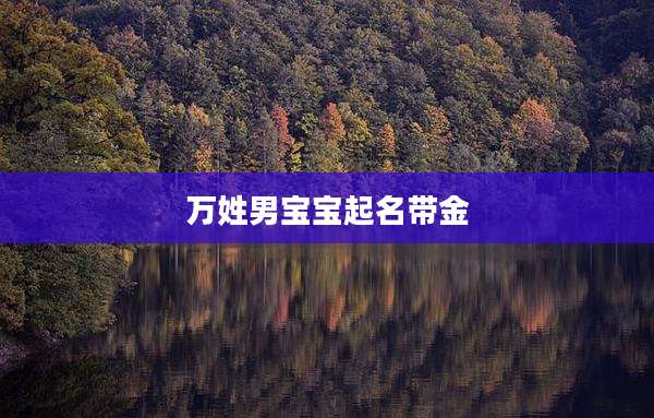 万姓男宝宝起名带金
