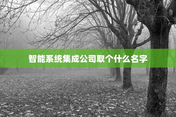 智能系统集成公司取个什么名字